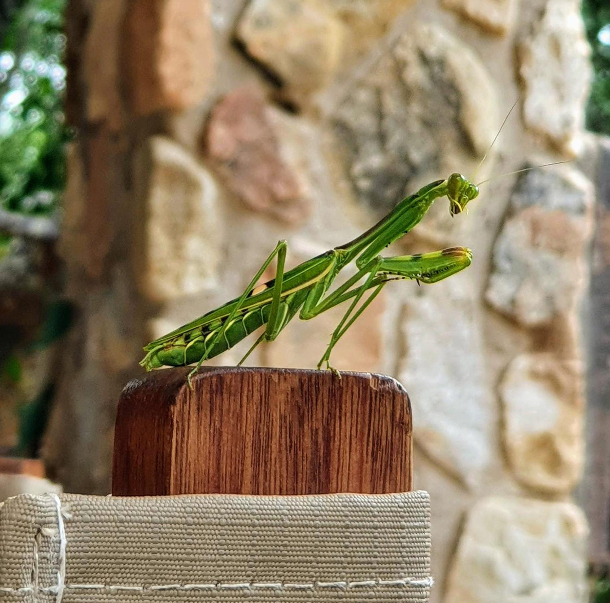 Hasekamp Family Bush Lodge Hoedspruit Bagian luar foto