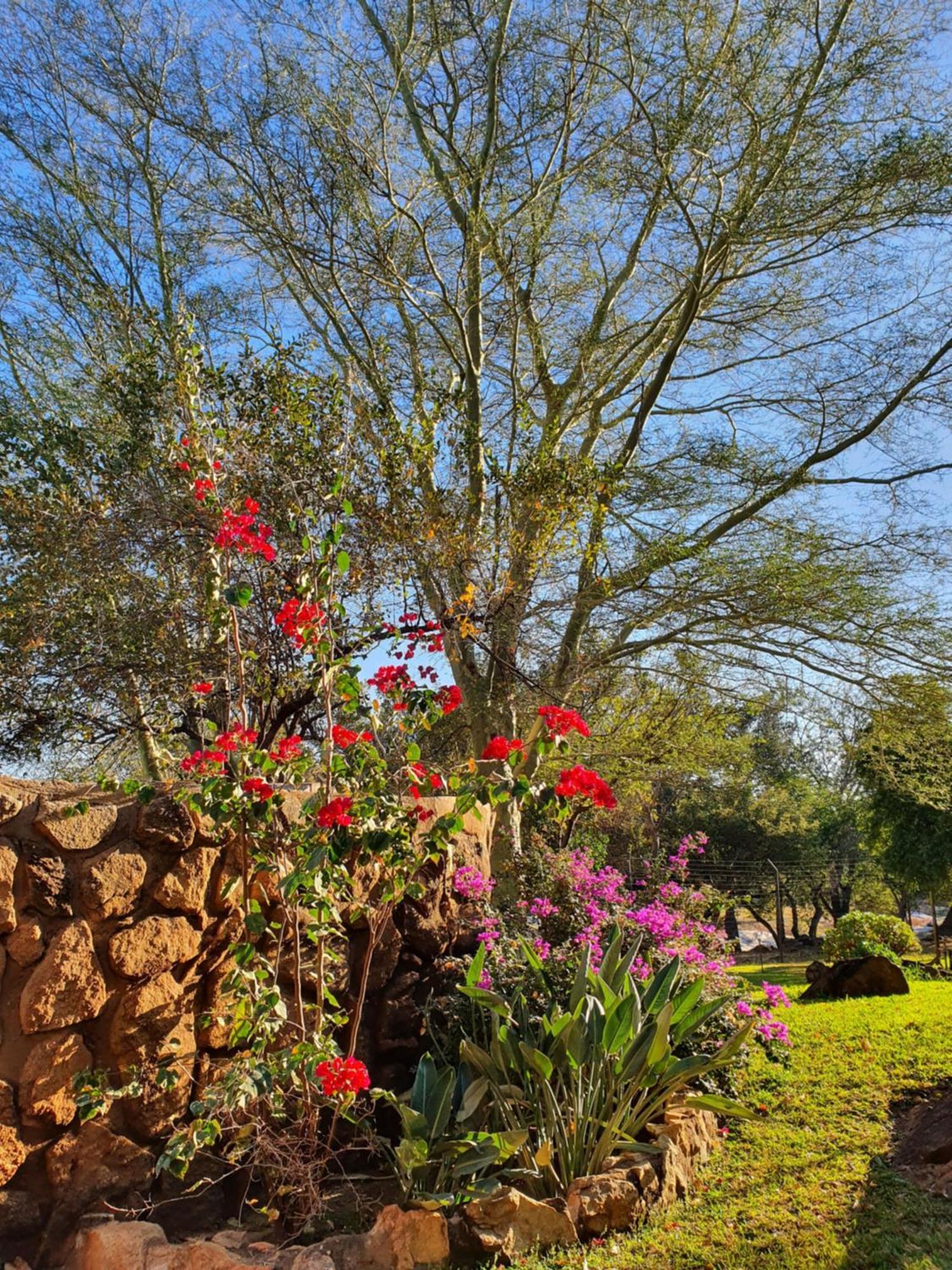 Hasekamp Family Bush Lodge Hoedspruit Bagian luar foto