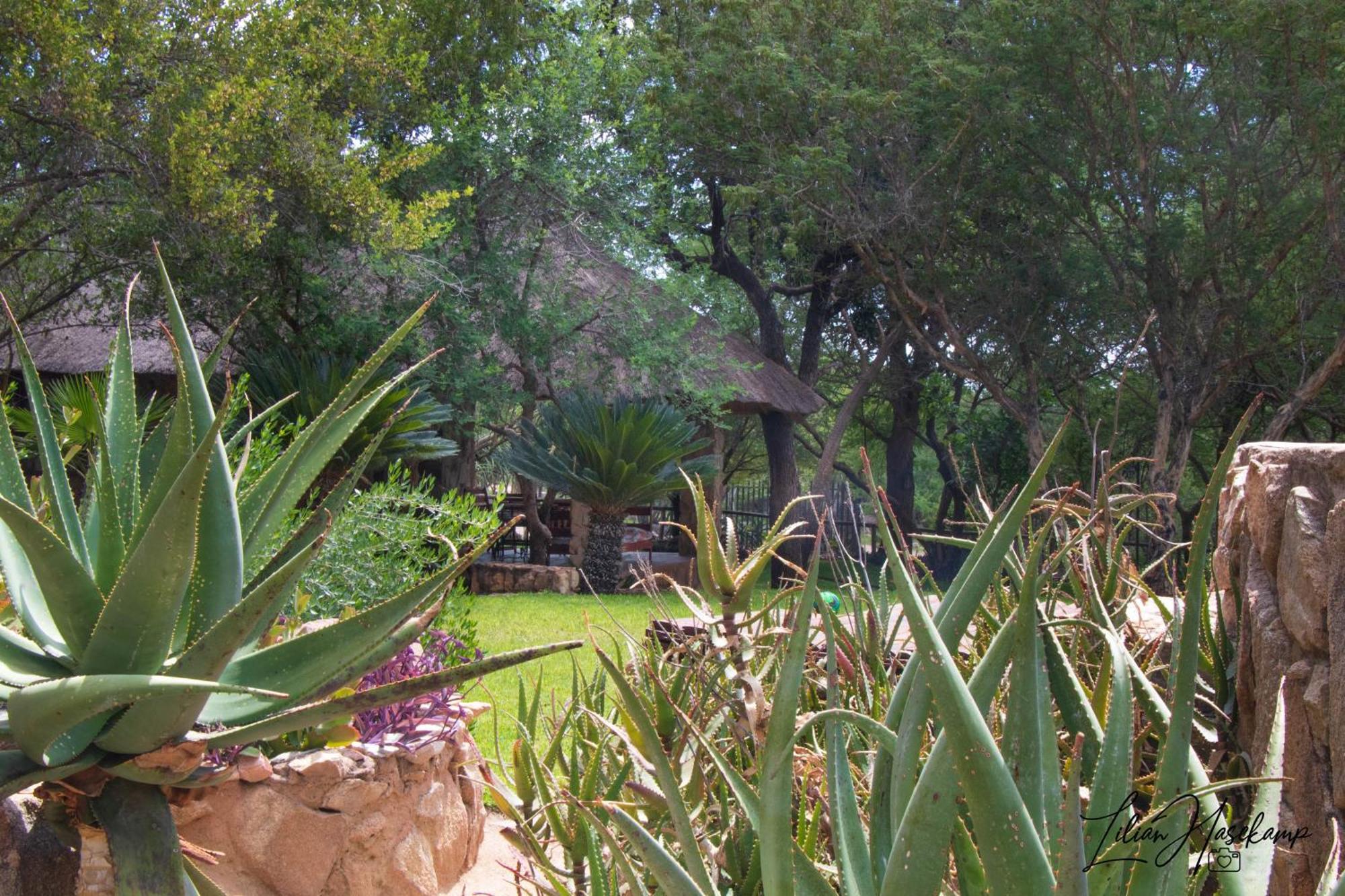 Hasekamp Family Bush Lodge Hoedspruit Bagian luar foto