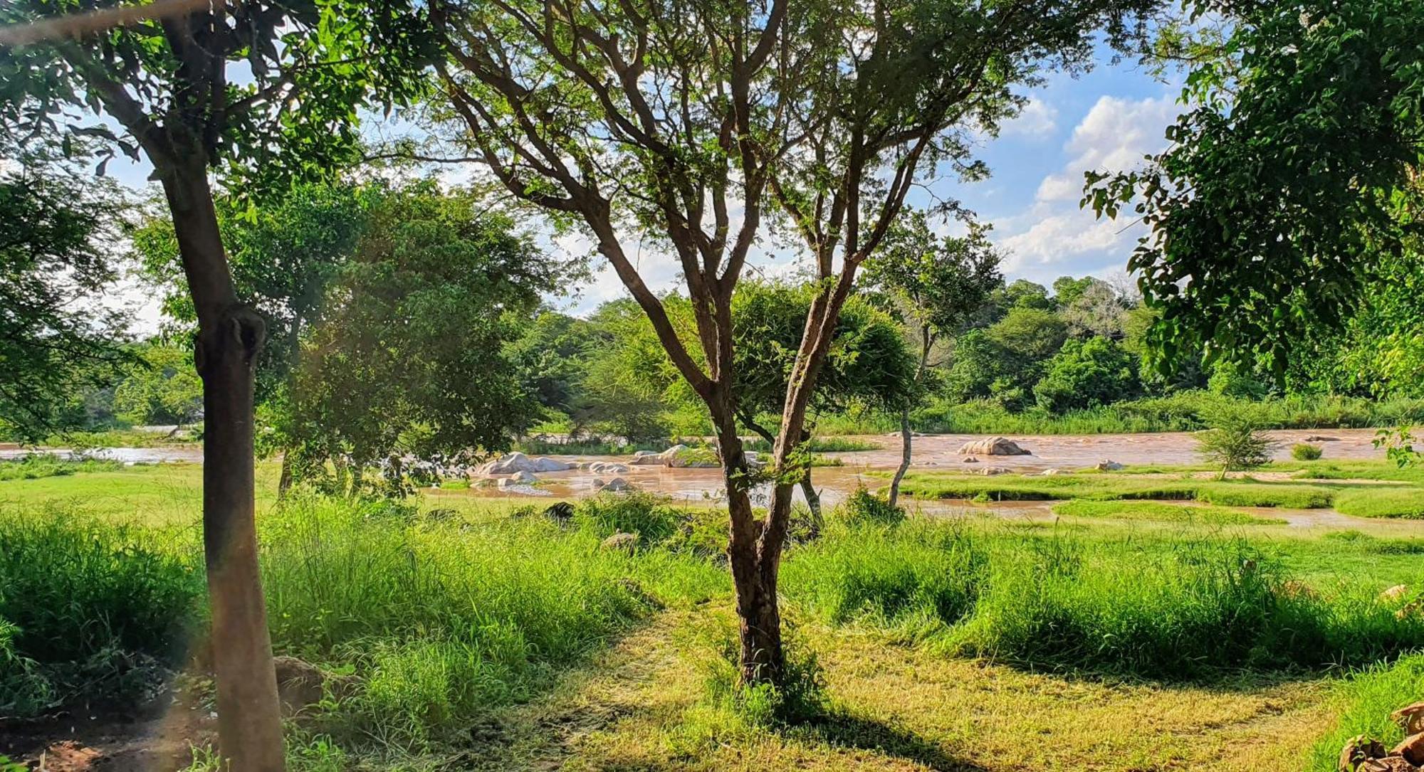 Hasekamp Family Bush Lodge Hoedspruit Bagian luar foto