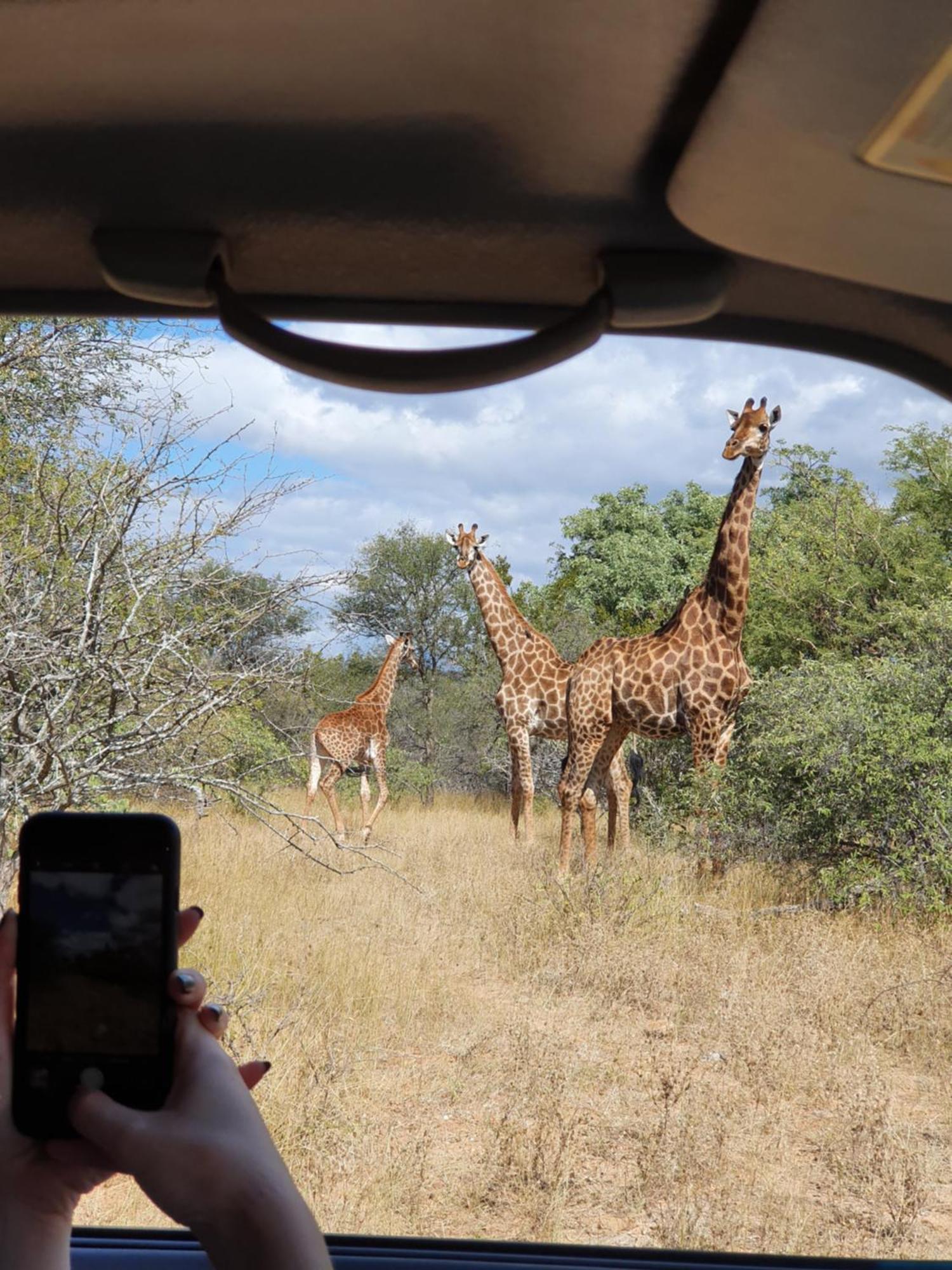 Hasekamp Family Bush Lodge Hoedspruit Bagian luar foto