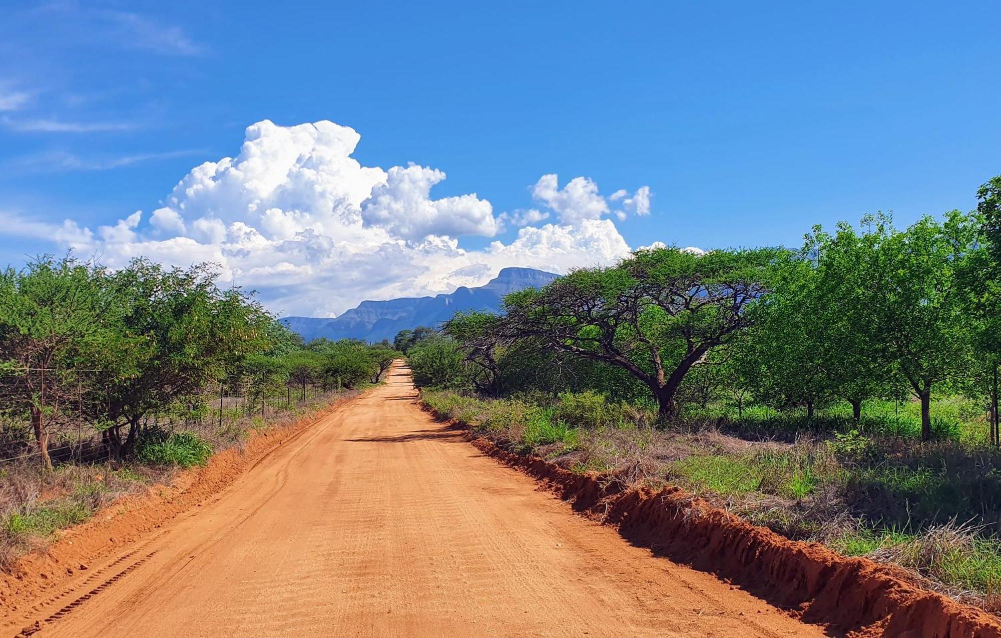 Hasekamp Family Bush Lodge Hoedspruit Bagian luar foto